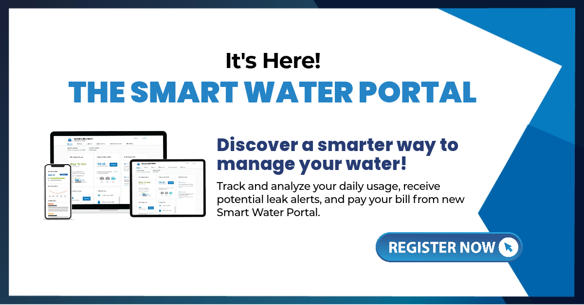 Smart Meters Eastside Utility District